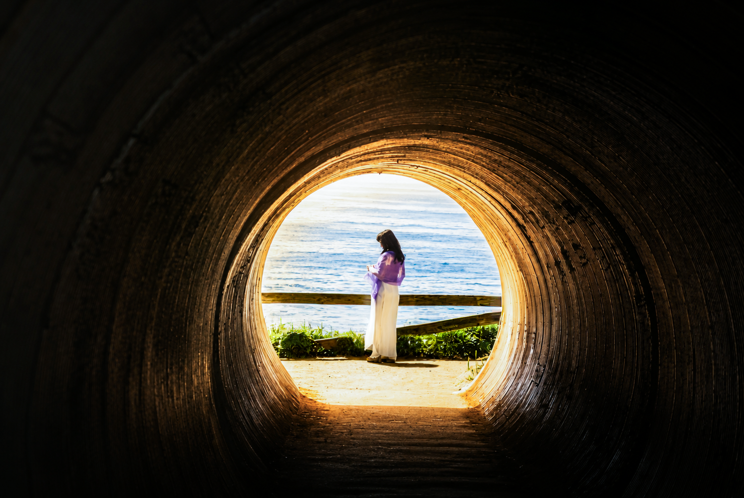 BigSur-Monterey (22)